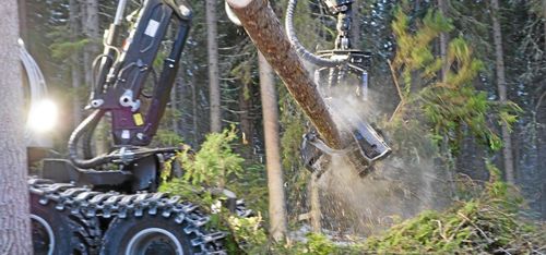 Skogsindustrin allt viktigare