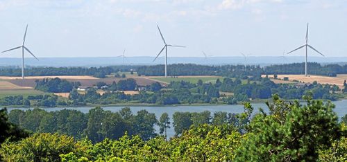 Elbrist hotar vid vargavinter