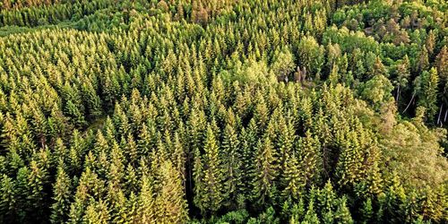 Vill ha fler kvinnor på Wikipedia