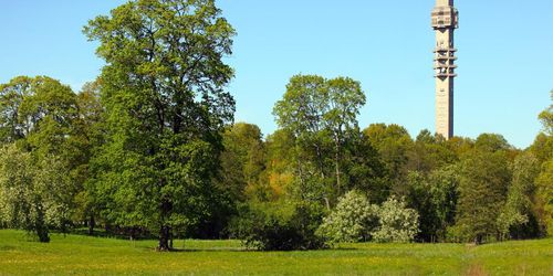 Noll intresse för gräs i Stockholm