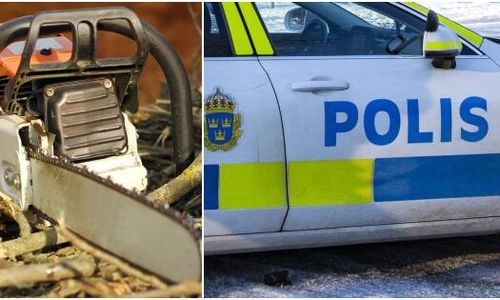 Stoppades med mängder av stulna motorsågar