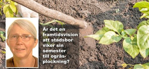 Är detta framtidens hållbara lantbruk?