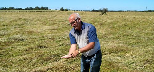 Ökad efterfrågan på ekologiskt vallfrö
