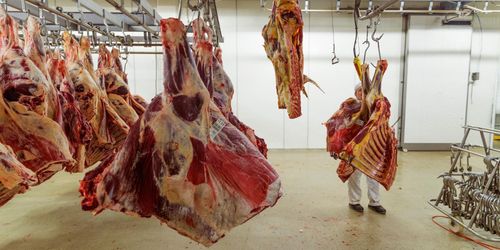 Centern vill ha större nedsättning av slaktavgifterna