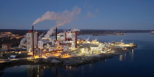 Skogsjätten framröstad till bästa arbetsgivare i landet