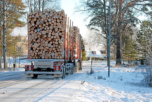 Ställ inte miljö och människor mot varandra!