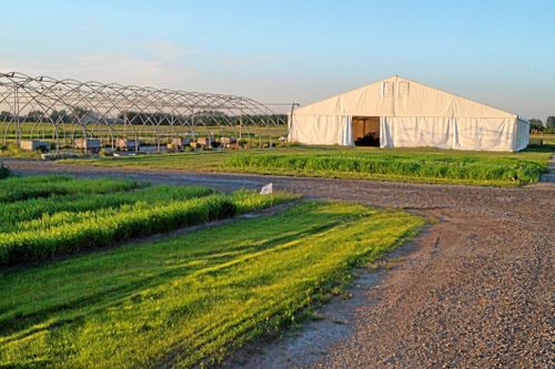 Så ser Borgebyfältet ut nu