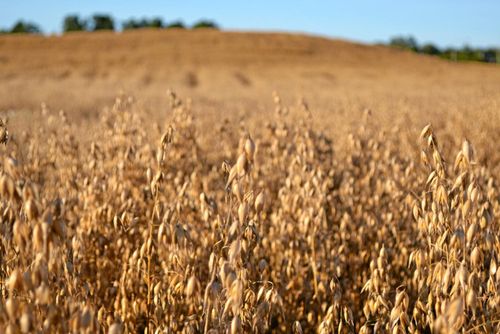 ”Stundande väderomslag gör oss nervösa”