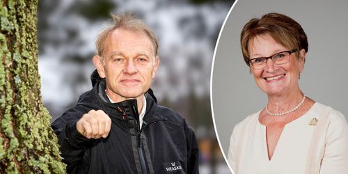 Banker och skogsbolag kritiska till hållbarhetskriterier