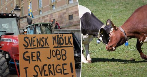 ”Svenskar vill ha svensk matproduktion”