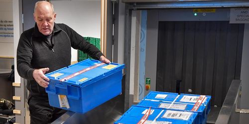 Frövalv på Svalbard räddade syrisk genbank