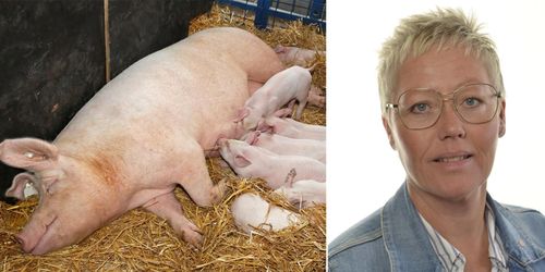 ”Stödet räcker till fler än djurbönderna”