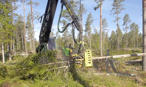 C vill slopa nedre gräns för slutavverkning