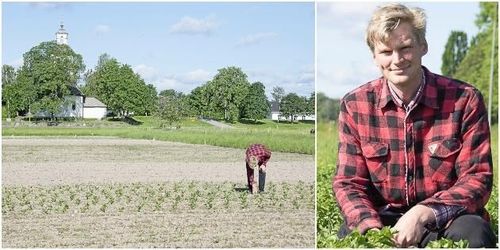 Ung odlare satsar stort på grönsaker