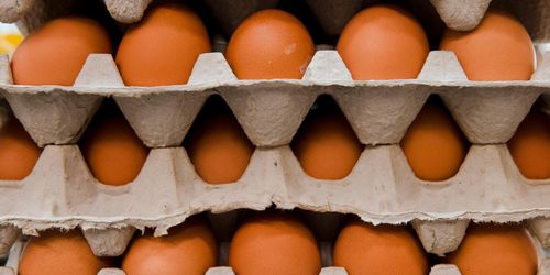 USA-ägg rekorddyra efter pandemirusning