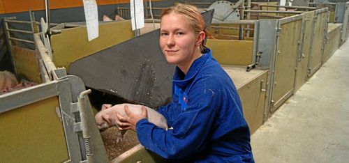 Ensam i klassen som vill jobba med grisar