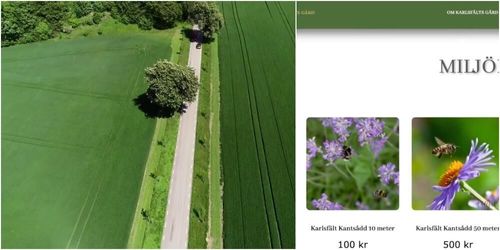 Till salu: Blommande fältkanter