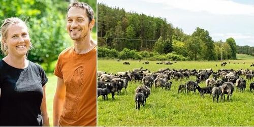 Driva gården som par – så lyckas de