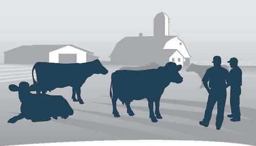 Utan inflytande inget äkta ägande