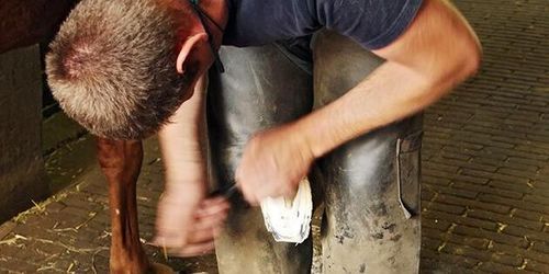 SLU: Så ska kvarkasmittan stoppas