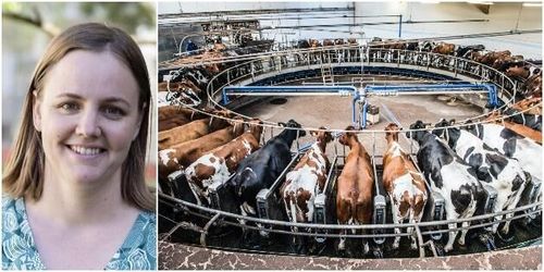 Hållbarhetsforskaren: ”Hoppas Arla har fel”