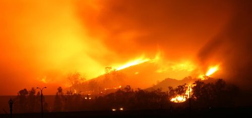 Skogsbränderna kostar miljarder