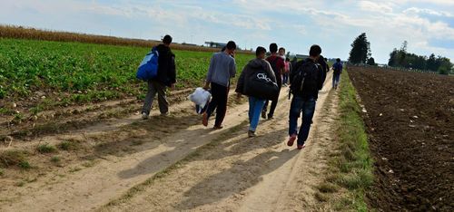 Så ska nyanlända få gröna jobb