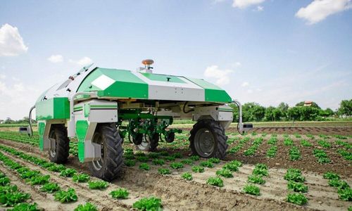 Ogräsrobot för professionella odlare