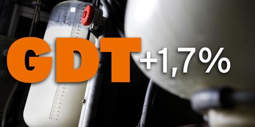 Fortsatt uppåt för mjölkprisindex