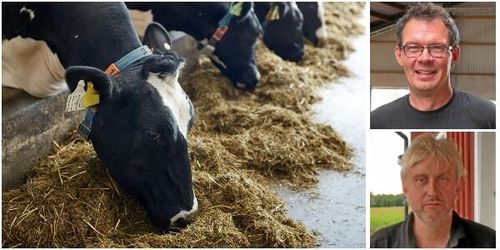 Arlabönder om sänkningen