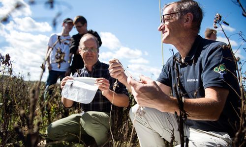 SM i nedbrytning ett sätt att lära känna sin mark