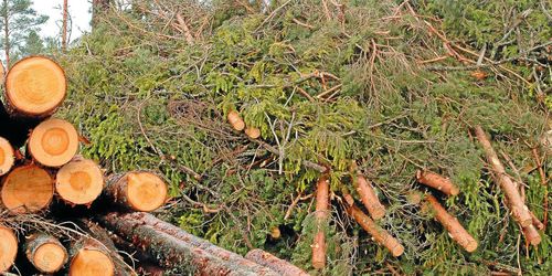 Priset stiger på grot