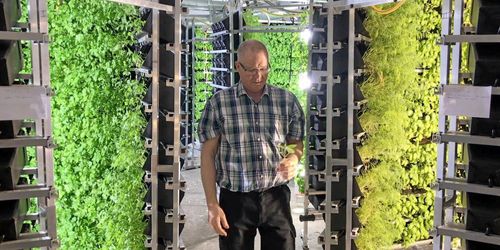 ATL TV: Dags för första kryddskörden i grisstallet