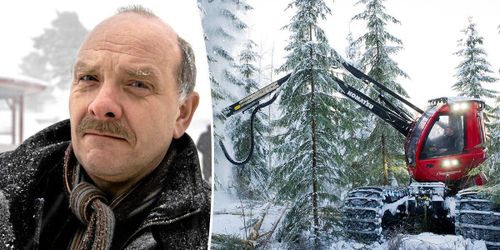 Entreprenörer FSC-anmäler Stora Enso