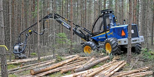 Hårda gallringar sänker förrådet