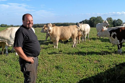 Henriks strategi spar arbete