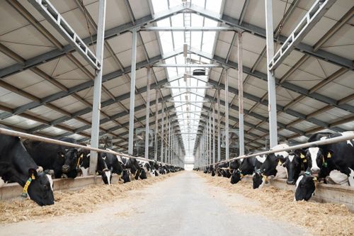 Slutreplik: ”Framtiden ligger inte bara i stordrift”