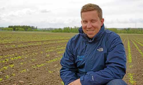 Efter Gauchodomen: Nu startas insektsbevakning