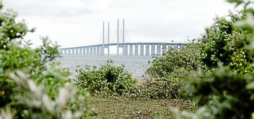 1 300 nya arter på 20 år