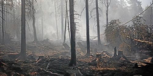 Regeringen vill rusta upp brandförsvaret