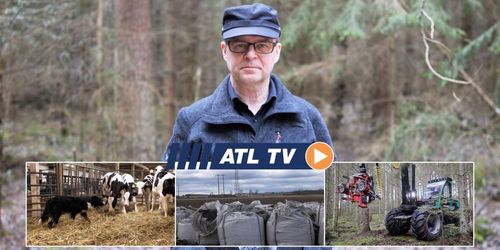 ATL TV: Prosilva vill sälja mer i Sverige