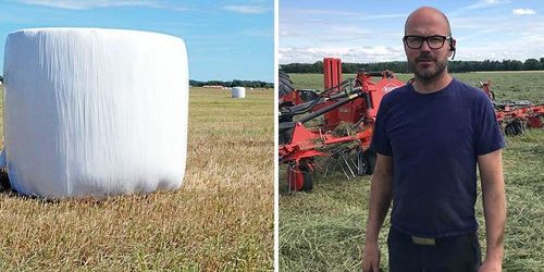 Nytt svårt år för hästägare