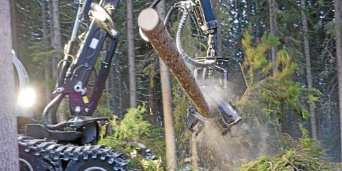 Fortsatt minskat avverkningsintresse