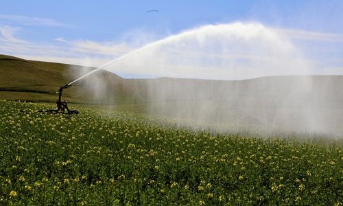 Strategi för vattenhushållning beställd