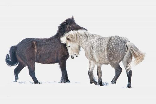 Förlorade mot länsstyrelsen