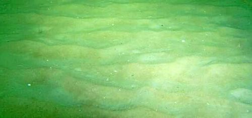 Det kan ersätta gruset vid bygget