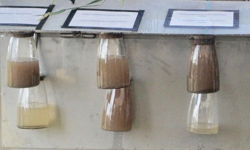 Så tar jorden emot åskregnet