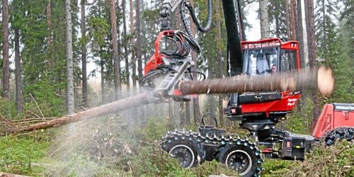 Storm och brand styr avverkningarna