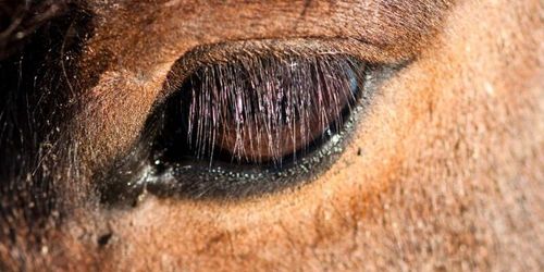 Bristande rutiner kan ha orsakat smittspridning