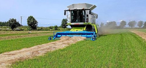 Nu rullar tröskorna i Skåne